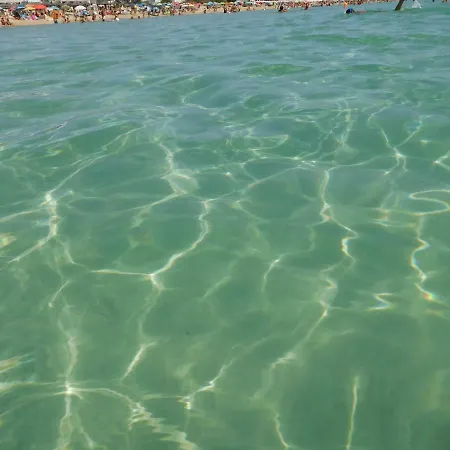 Rotonda Villaggio Rosa Lido Marini